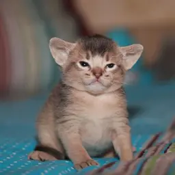 505