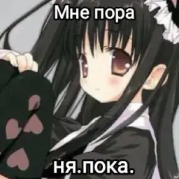 vd_zxccursed