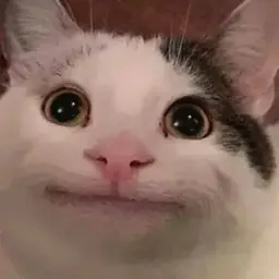 tochnonerickroll