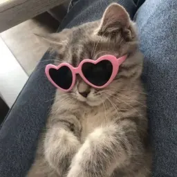 lowsk1ll