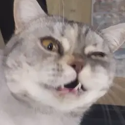 duranasimke