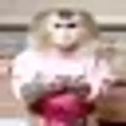 дрр