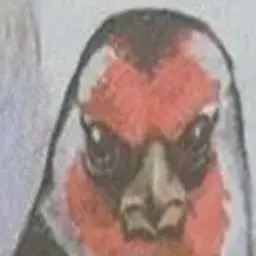 likekektop