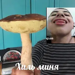 MrRaudi