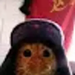 Klo0p