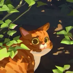 FoXesReal