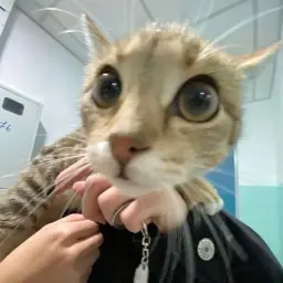 MortyWTTF