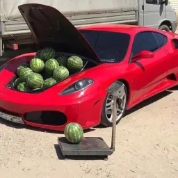 frouz3