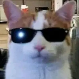 Димаан