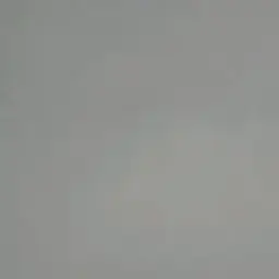 id584368860