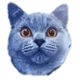 Qwyar