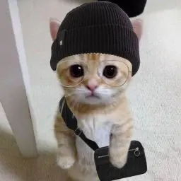 YoungHaze