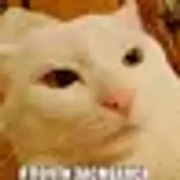 Hdhdhjf