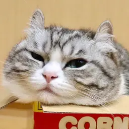 snchz