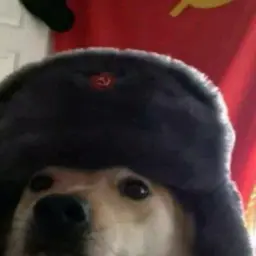 skywolka