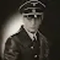 stierglitz