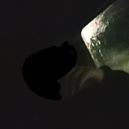 claydoffyt