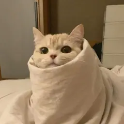 Rewtor