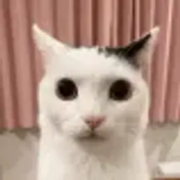 Rawitti