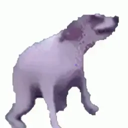 bareybyxxx