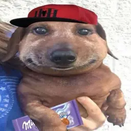 Proper4ikk
