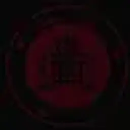 dynamlca