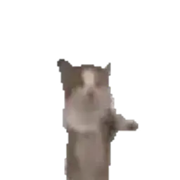 Nobasina