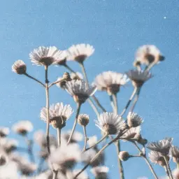 Рори