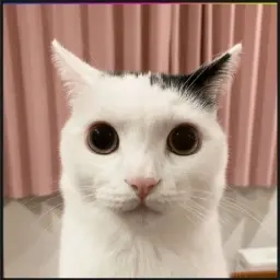 doxbin4646