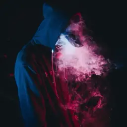 v_solo