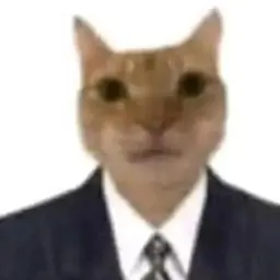 zxczcxcxzsadasd