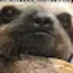 Deus_Machine666