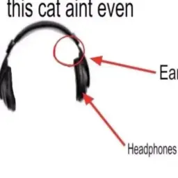 hahagetn00b
