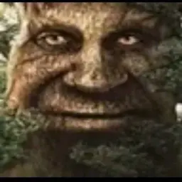 Perdun09