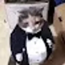 2wnontopw