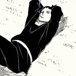 shinobi_inactive