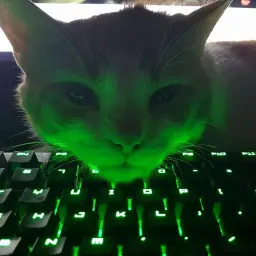 oxideumod