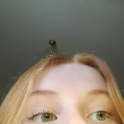 Fikkich__