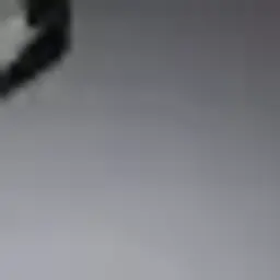 tnrba
