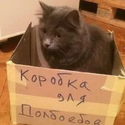 den_dan