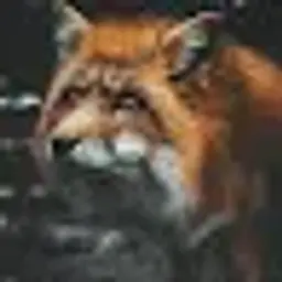Kotekompotek