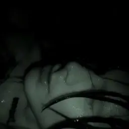 viperrgang