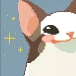 vay_vasy1
