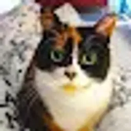 Loni99