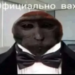 vahyieee