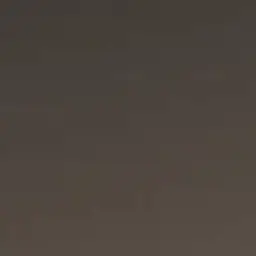 id505668481