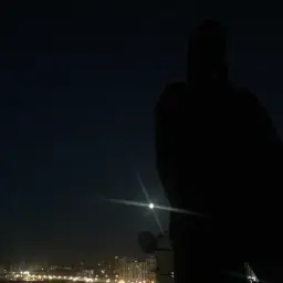 paindealer