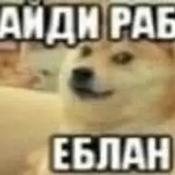 Pilop