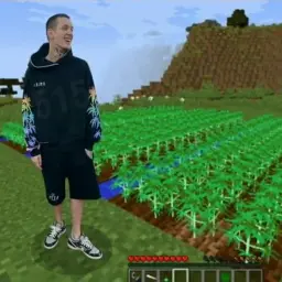wiildd