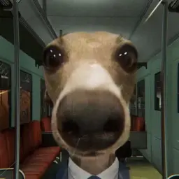 ps4vraedffaqerr
